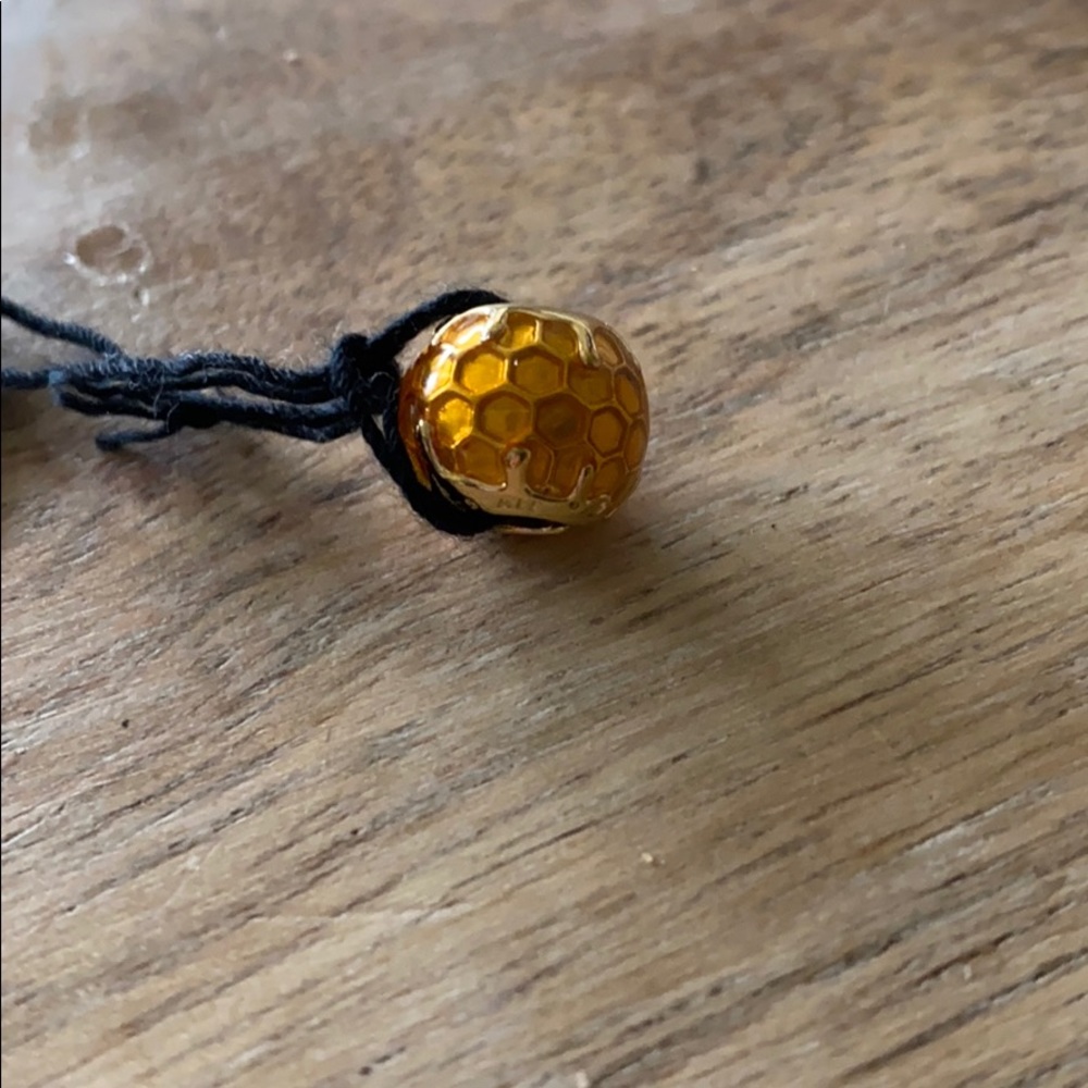 Pandora charm